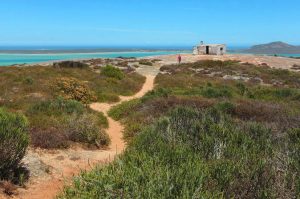 Private: West Coast Wonder Guided Tour from Cape Town - including a visit to West Coast National Park