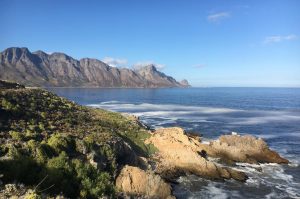 Whales and Abalone Tour from Cape Town including a stop at Stoney Point